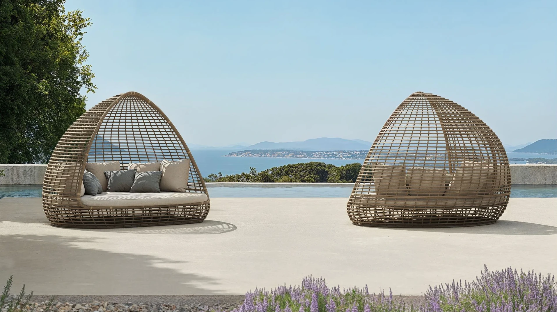 Shade by Noel Royo Asenjo