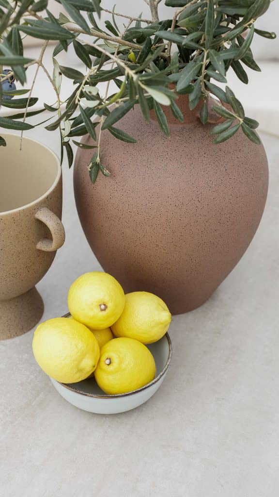 23300_Aux.Table Sunday_Kubu Mushroom 15mm_SKyline_4